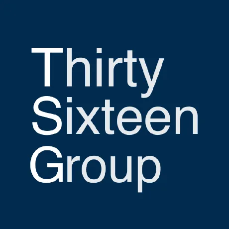 ThirtySixteen Group Logo